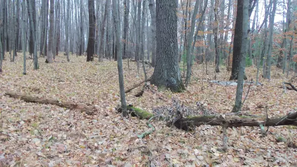 Siren Twp, WI 54872,Lot 7 Herman Johnson Rd