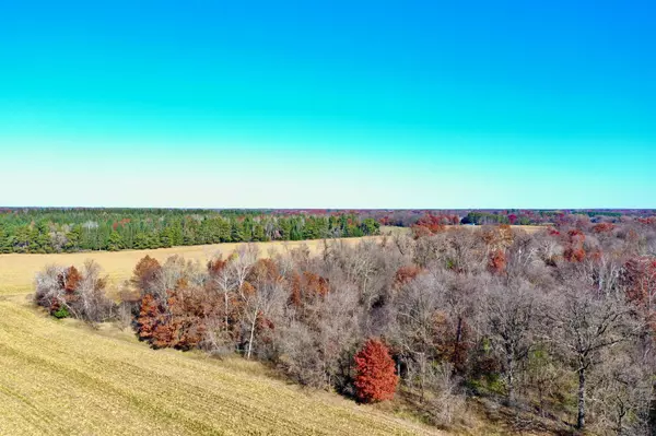 Bradford Twp, MN 55040,NA Flamingo Street