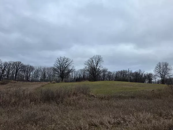 Oakland Twp, MN 56589,2767 State Highway 113