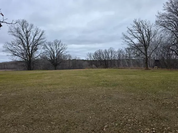 Oakland Twp, MN 56589,2767 State Highway 113