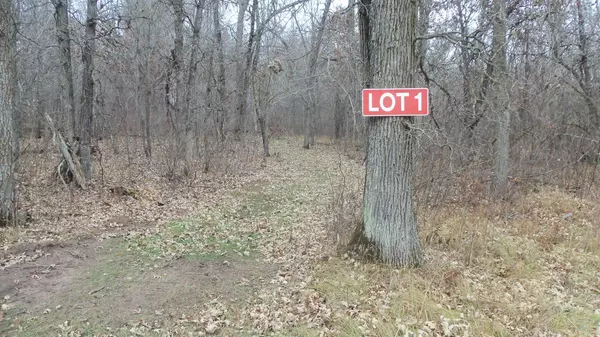 Sterling Twp, WI 54024,Lot 1 300th St