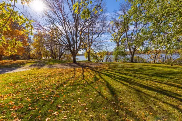 Waconia Twp, MN 55387,12225 62nd ST