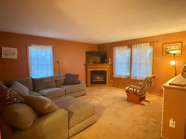 Blomkest, MN 56216,11 N Renstrom ST