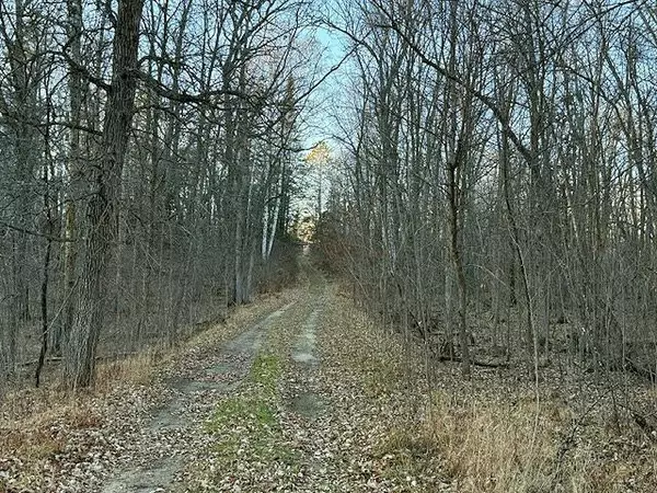 Park Rapids, MN 56470,24965 Hammock TRL