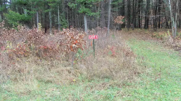 Lot 1 130th St, Siren, WI 54872