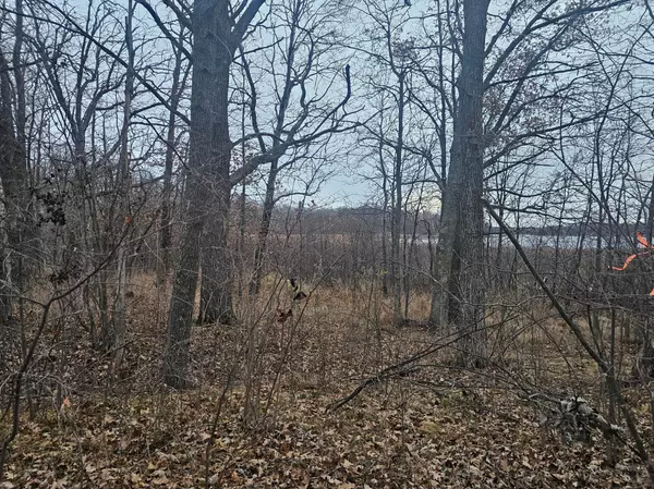 Aitkin, MN 56431,TBD County Road 30