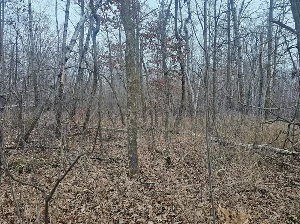 Aitkin, MN 56431,TBD County Road 30