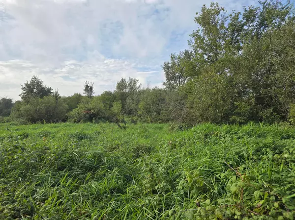 Ham Lake, MN 55304,TBD TBD