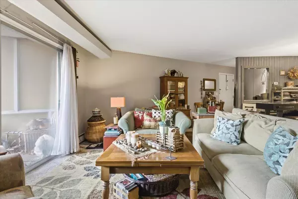 Mound, MN 55364,5440 Three Points BLVD #523