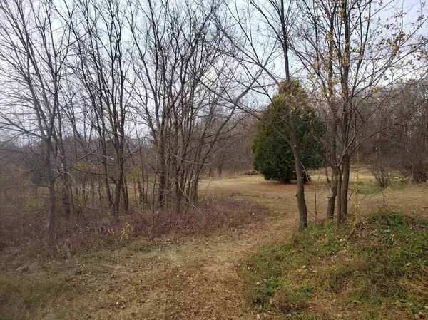 Alden Twp, WI 54026,Lot 1 County Road M / 202nd St