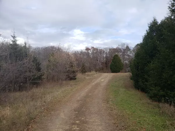 Alden Twp, WI 54026,Lot 2 & 3 County Road M / 202nd St