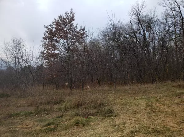 Alden Twp, WI 54026,Lot 2 & 3 County Road M / 202nd St