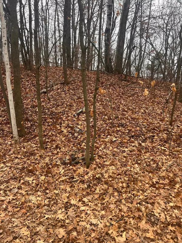 Cushing Twp, MN 56443,TBD Golf Course Cir