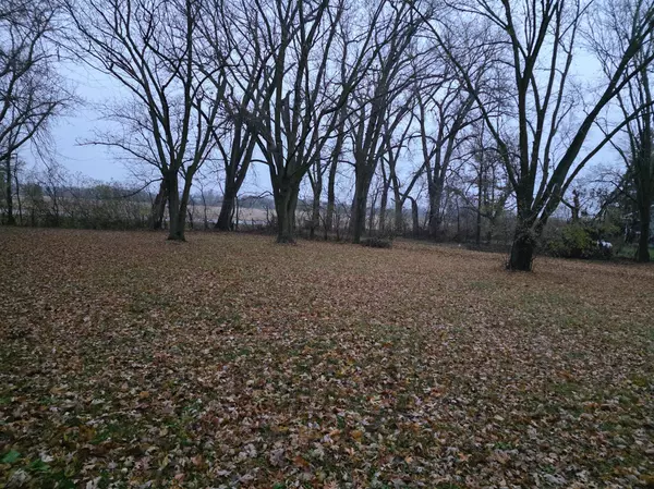 Austin Twp, MN 55912,18046 540th AVE