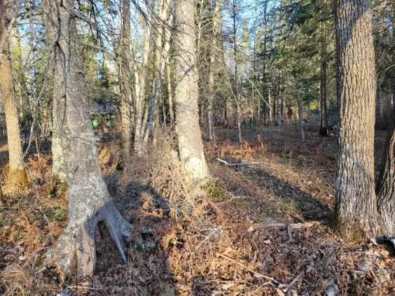 Baudette, MN 56623,XXX Rapid River