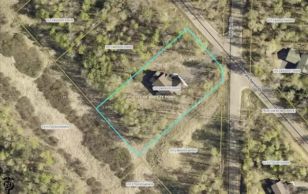 Breezy Point, MN 56472,29631 Percheron DR