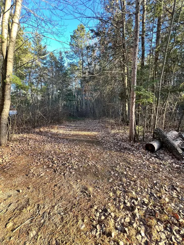 Blackberry Twp, MN 55744,TBD County Rd 427