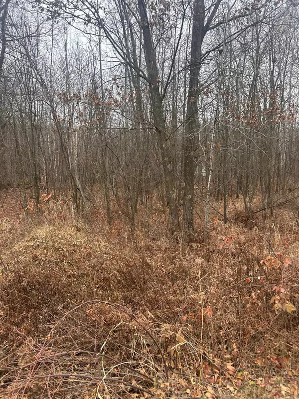 TBDx Lake Camile, Cushing Twp, MN 56475