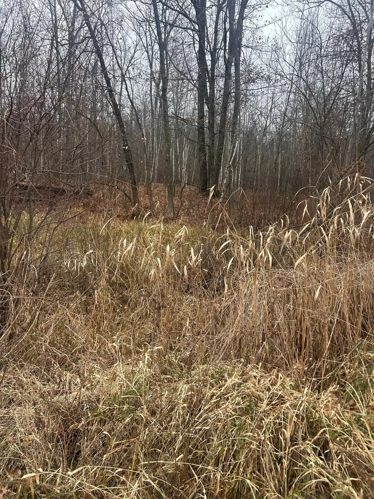 Cushing Twp, MN 56475,TBDxx Lake Camile