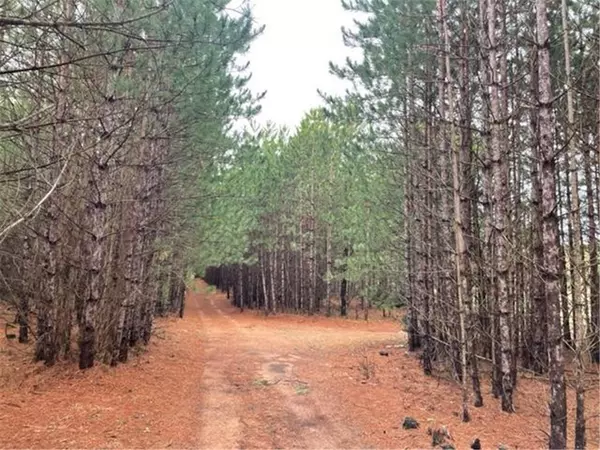 XXX Hay Creek BLVD, Grantsburg, WI 54840