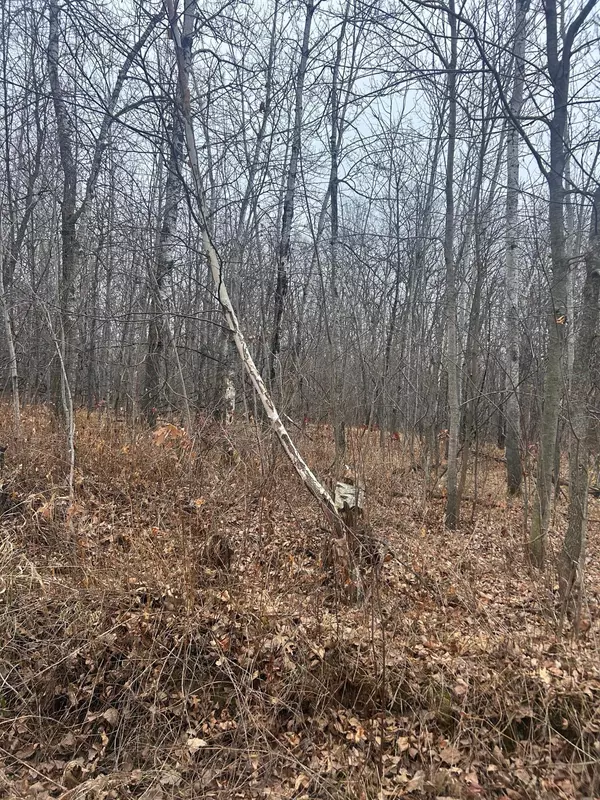 TBDx Golf Course dr, Cushing Twp, MN 56443