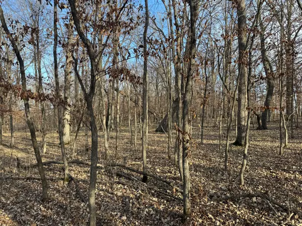 Red Eye Twp, MN 56477,TBD 294th ST