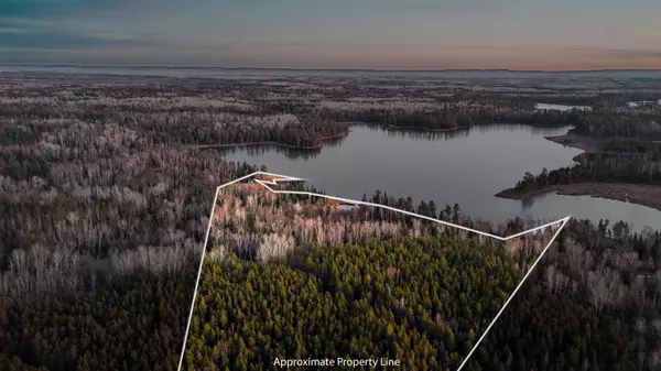 Babbitt, MN 55706,TBD Arthur Lake