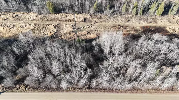 Deer River, MN 56636,Parcel A Parameter RD