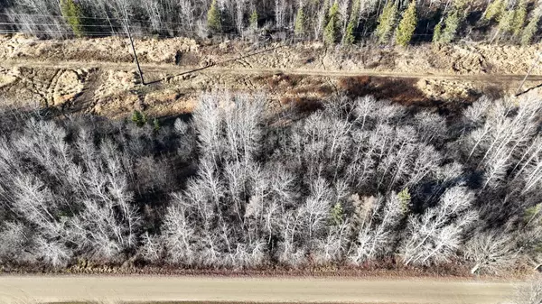 Deer River, MN 56636,Parcel A Parameter RD