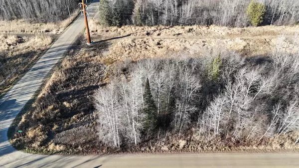 Deer River, MN 56636,Parcel C Parameter RD