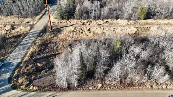 Parcel C Parameter RD, Deer River, MN 56636