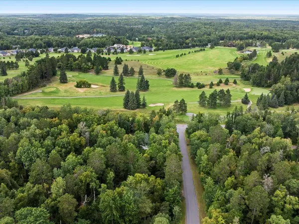 Breezy Point, MN 56472,TBD Dove ST