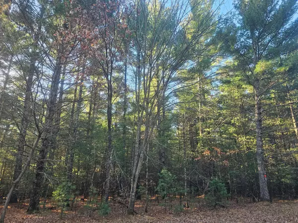 xxx Harmon AVE E, Grantsburg, WI 54840