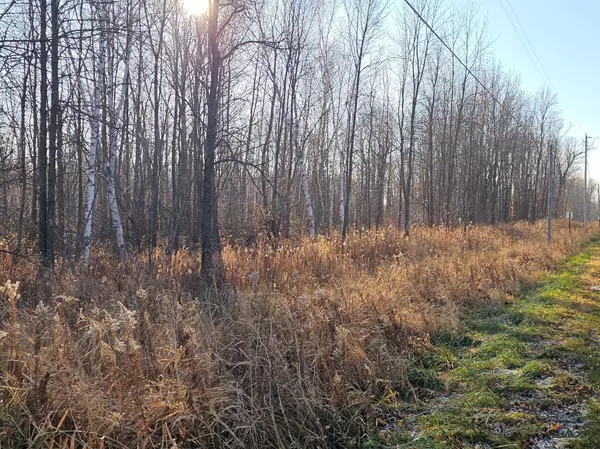 Isle, MN 56342,TBD Whistle Road