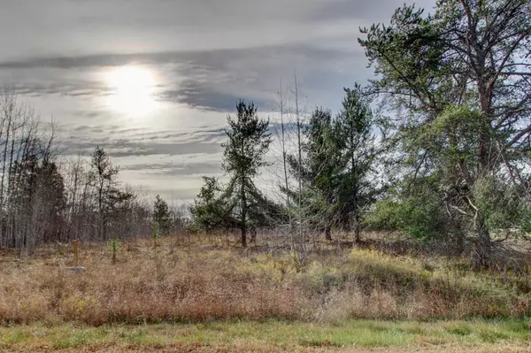 Pequot Lakes, MN 56472,7557 Fallen Leaf CIR