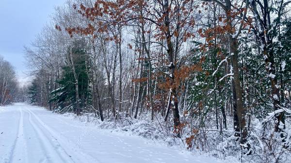 TBD Spruce CIR, Roosevelt Twp, MN 56450