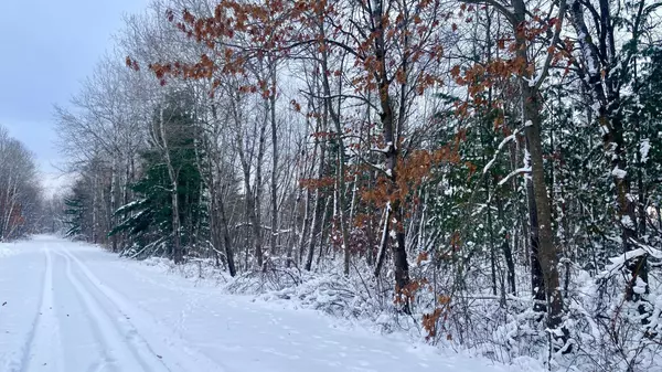 TBD Spruce CIR, Roosevelt Twp, MN 56450