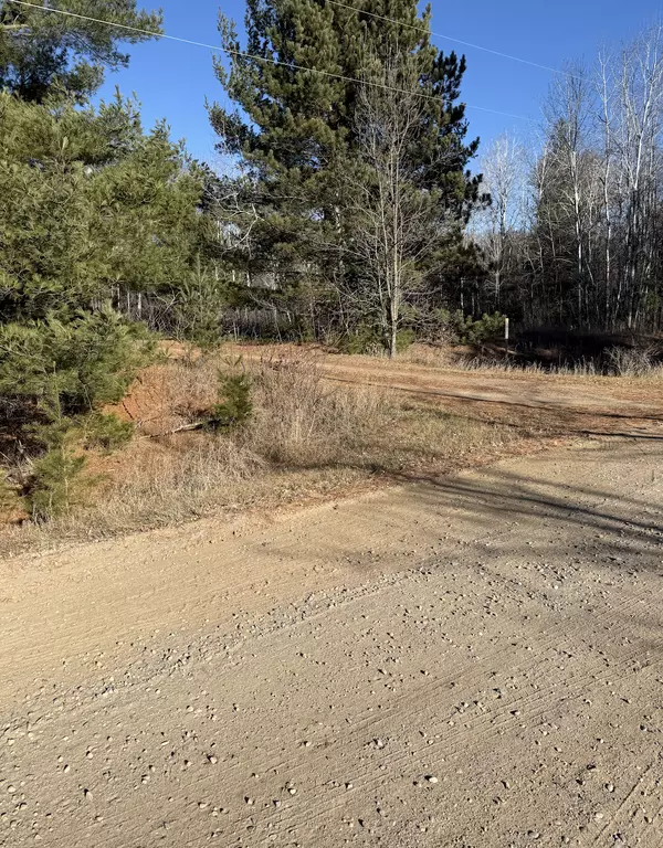 Darling Twp, MN 56345,11432 190th ST