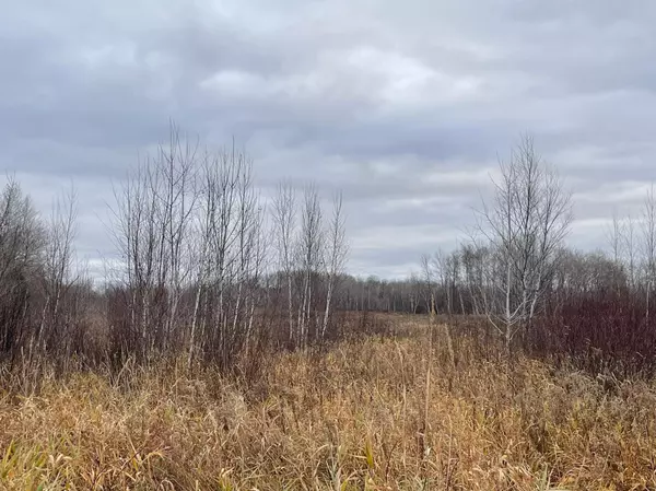 Hinckley, MN 55037,TBD Olson RD