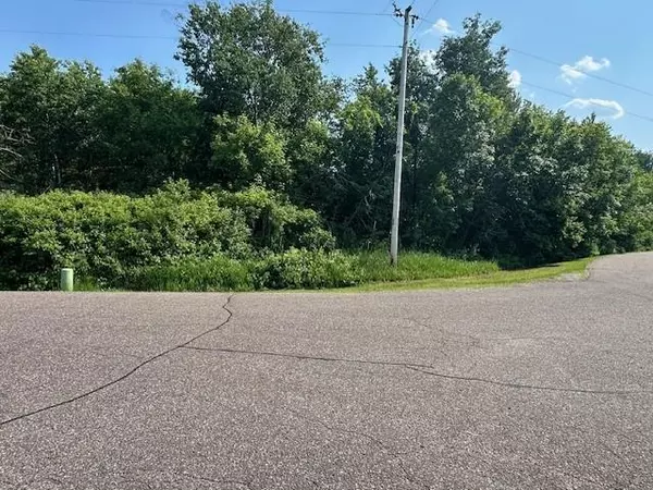 Ham Lake, MN 55304,TBD 169th AVE NE