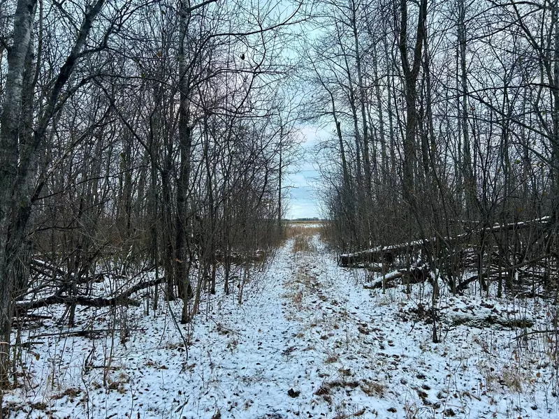 TBD 160th ST NE, Norden Twp, MN 56701