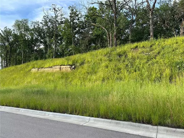 Rochester Twp, MN 55902,XXX Meadow Crossing Ln SW