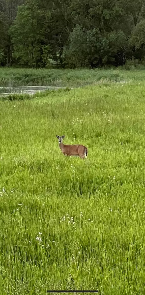 XXXX 280th ST E, Webster, MN 55088