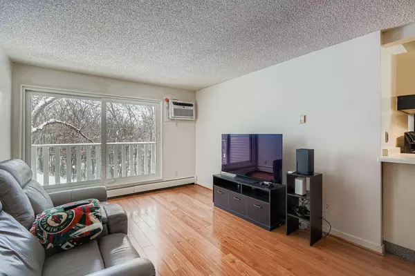 Fridley, MN 55432,1601 N Innsbruck DR #250NE