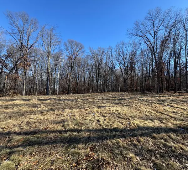 Ham Lake, MN 55304,14775 Stutz ST NE