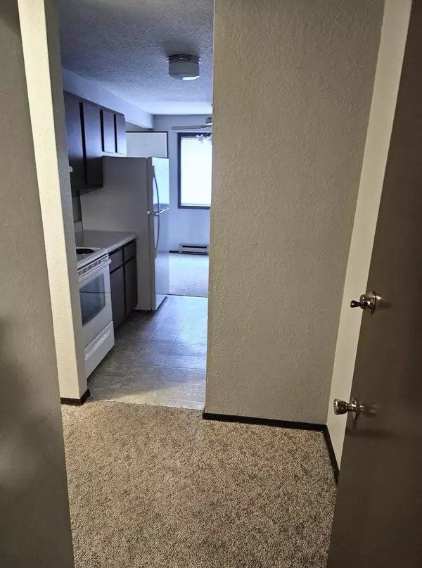 Elbow Lake, MN 56531,10 12th AVE NE ##14