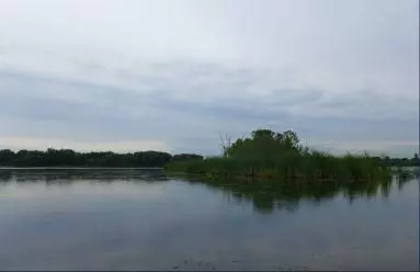 Lino Lakes, MN 55038,6151 20th AVE