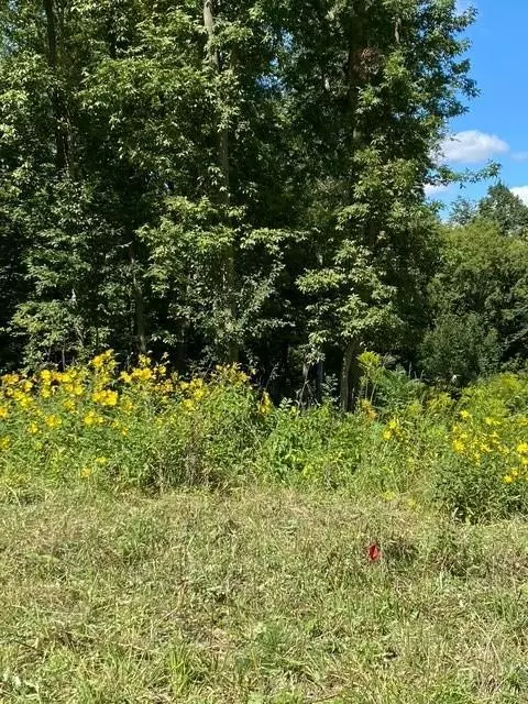 Prior Lake, MN 55372,20011 Nevada AVE