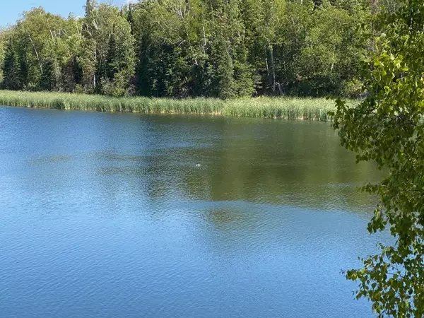 Clearbrook, MN 56634,49954 209th AVE