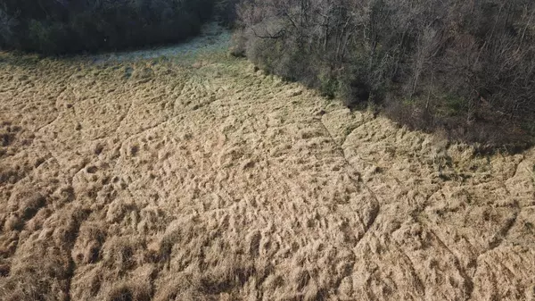 Howard Lake, MN 55349,TBD 72nd St. SW